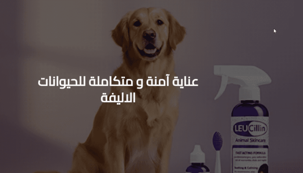 متجر لوسيلين