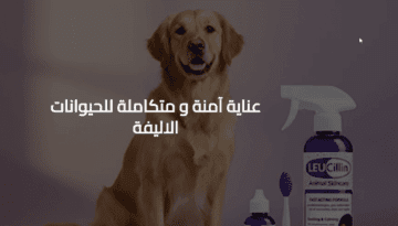 متجر لوسيلين